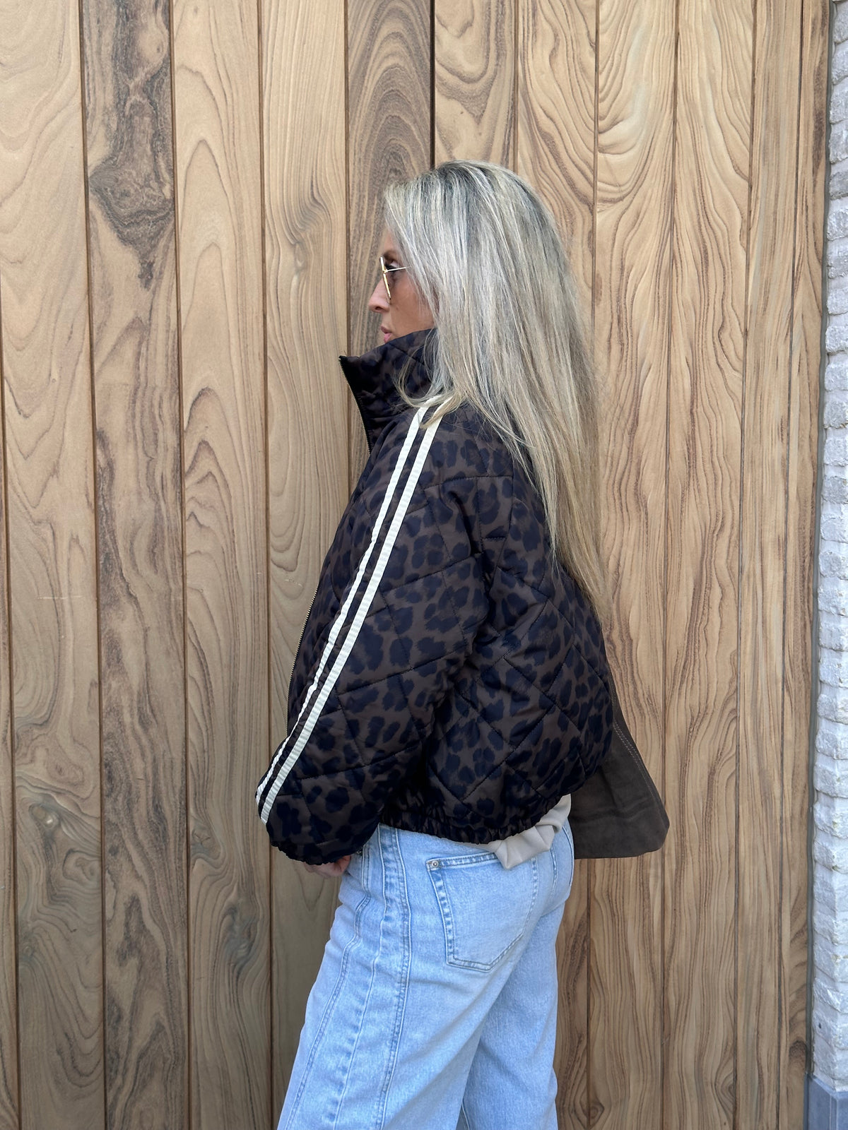 Jasje Stella Leopard