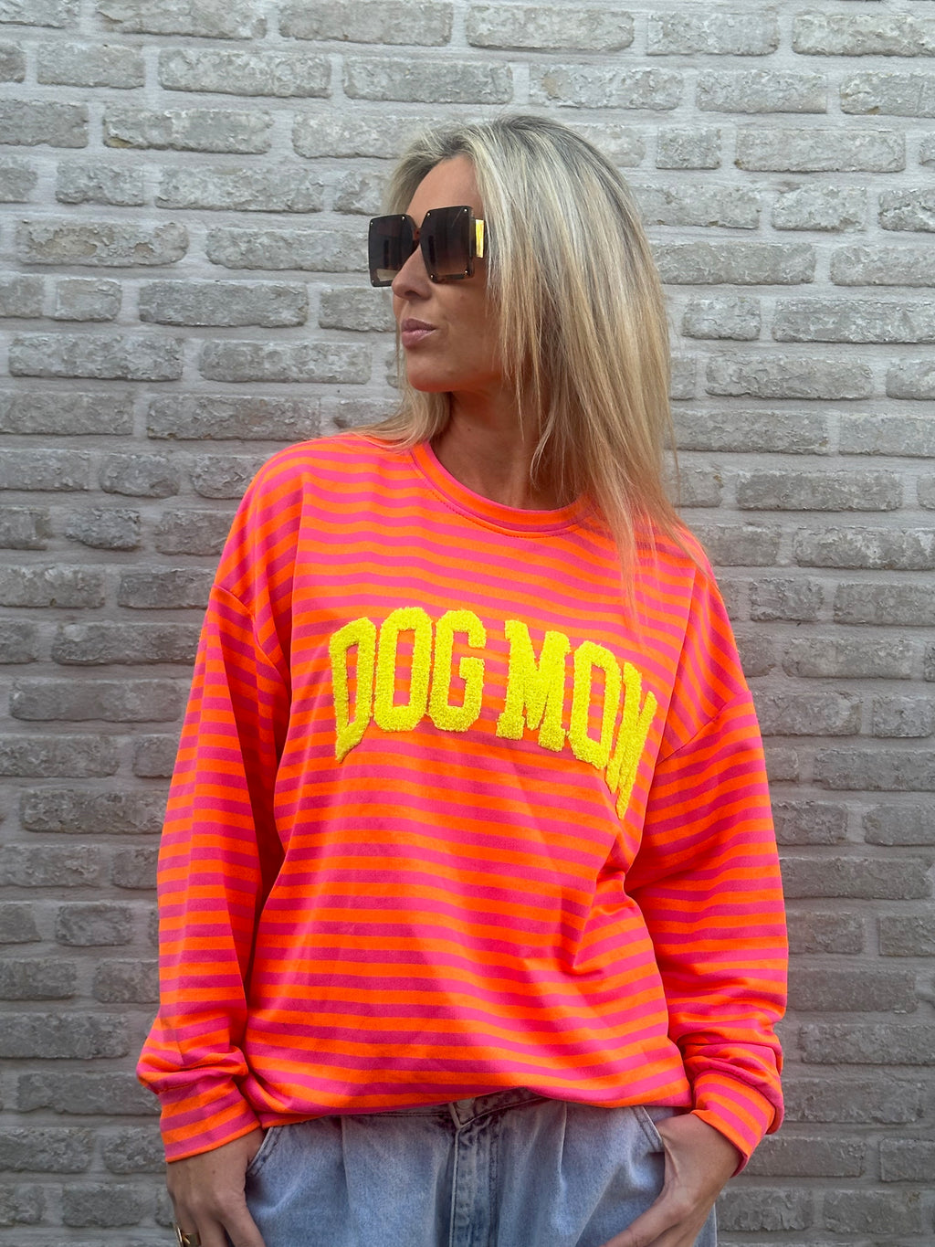 Sweater stripes dogmom