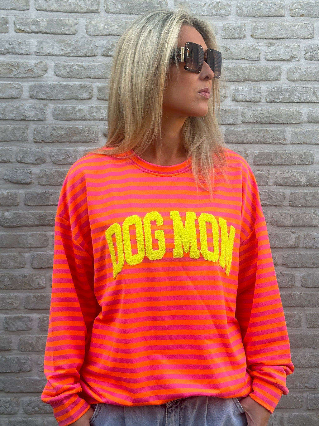 Sweater stripes dogmom