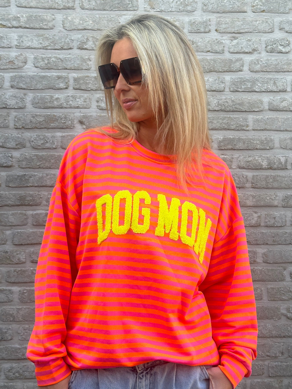 Sweater stripes dogmom